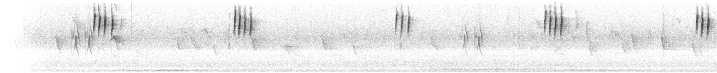 Bozca Drongo Sinekkapanı - ML276081