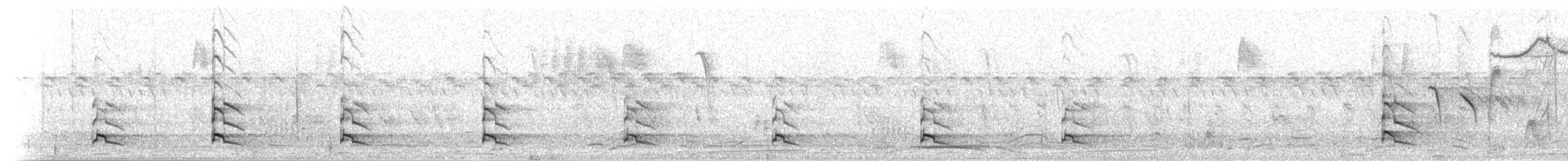 Hemprich's Hornbill - ML276141