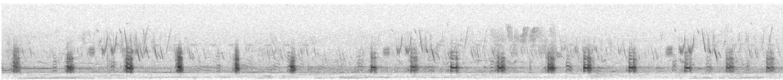 Francolin d'Erckel - ML276194