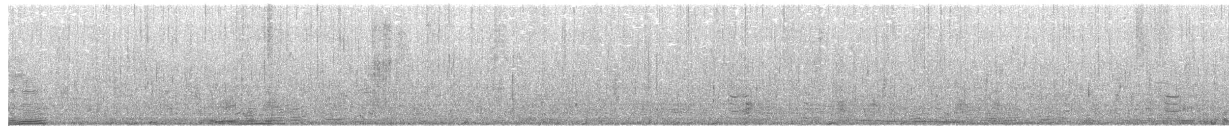 Gallinule à face noire - ML276197301