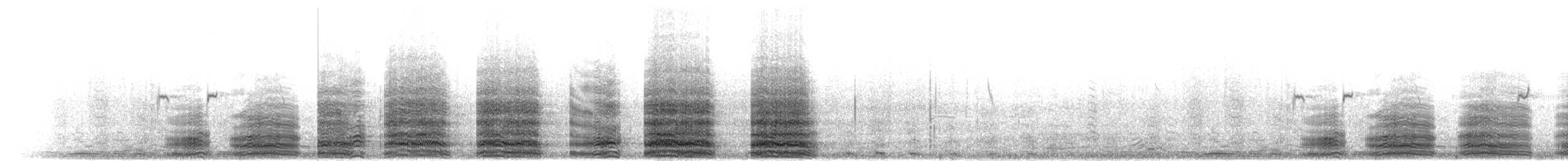Ібіс рябокрилий - ML276235