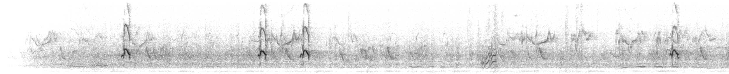 Slender-billed Starling - ML276241