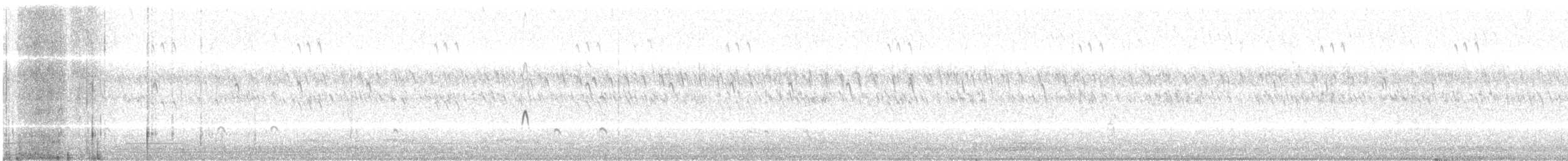 Agujeta Escolopácea - ML276249341