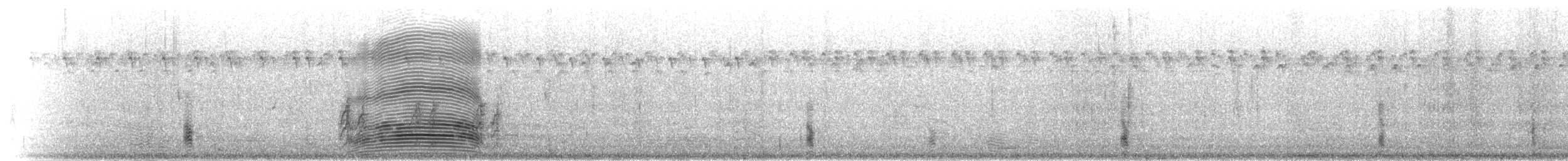 Weißbauch-Lärmvogel - ML276268
