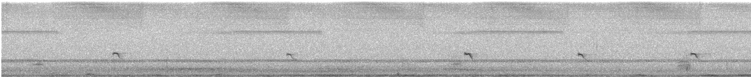 Little Ringed Plover - ML276310281