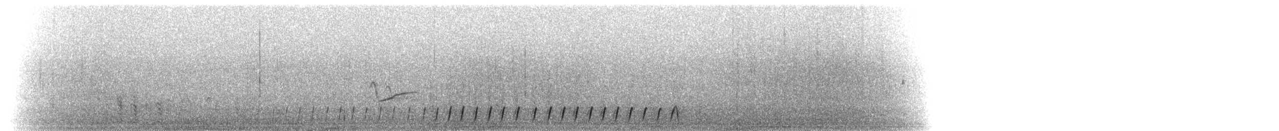 Slender-tailed Nightjar - ML276345