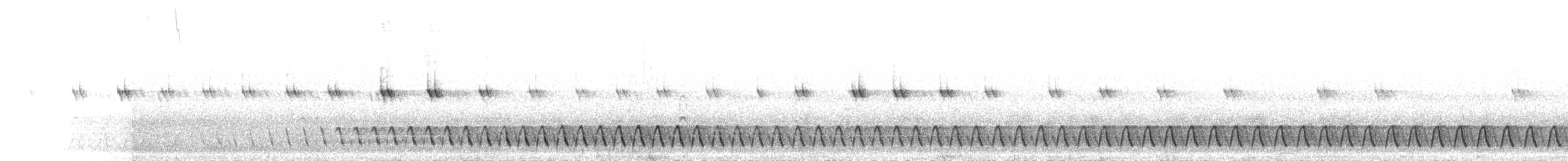 Slender-tailed Nightjar - ML276347