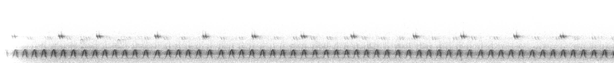 Slender-tailed Nightjar - ML276350