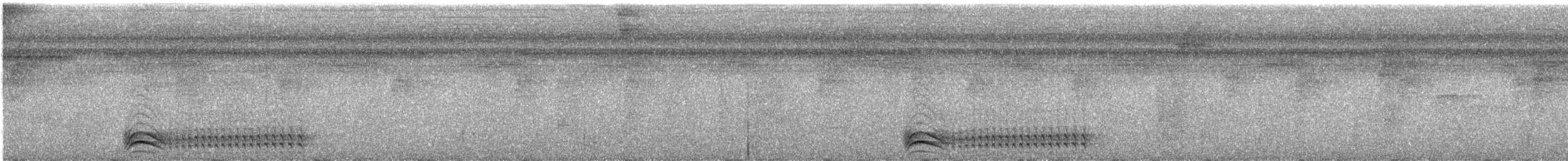 Black-crowned Antshrike - ML276350601