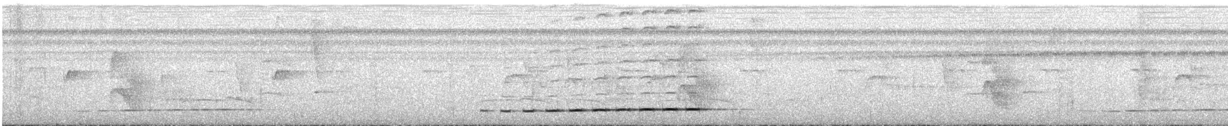 Thicket Antpitta - ML276350621