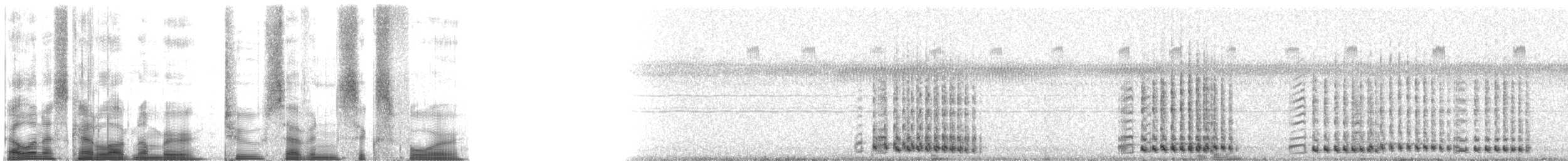 Канадский журавль (pratensis) - ML2764
