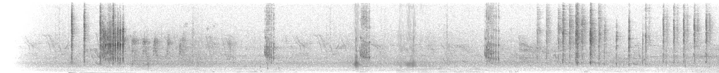 Prinia Ventripálida - ML276400