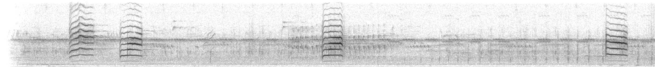 Grünmantel-Bogenflügel [brevicaudata-Gruppe] - ML276449