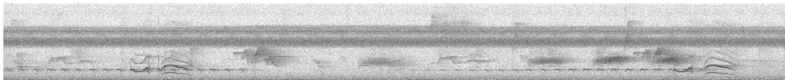 Waved Woodpecker (Waved) - ML276472991