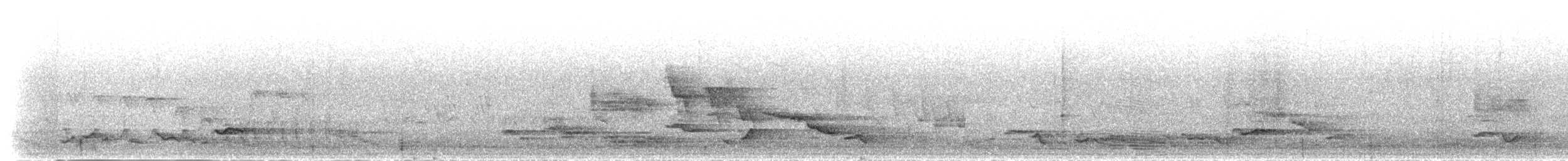 African Hill Babbler (African) - ML276517