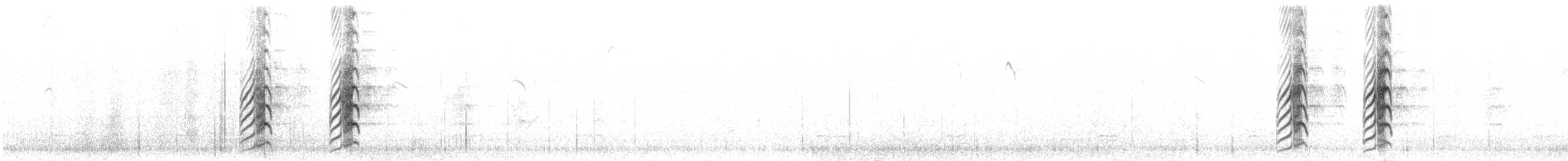 Пестрогрудый чибис - ML276518
