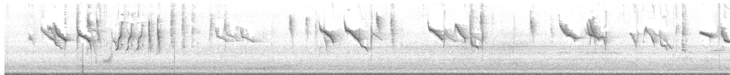 Chestnut-rumped Thornbill - ML276548081