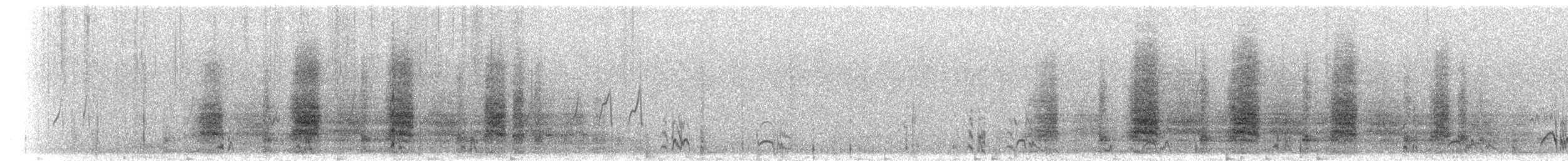 Braunnackenfrankolin (castaneicollis) - ML276583