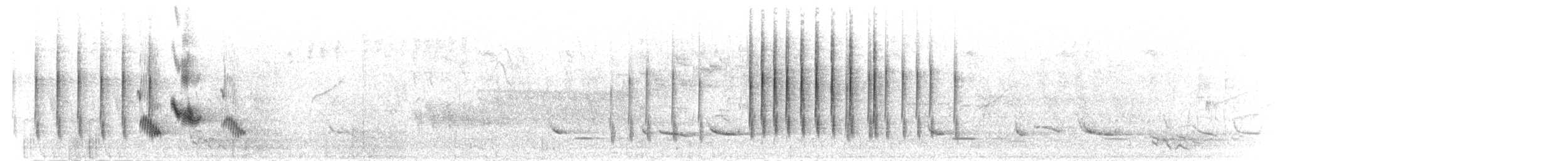 bergtrost (abyssinicus gr.) - ML276590