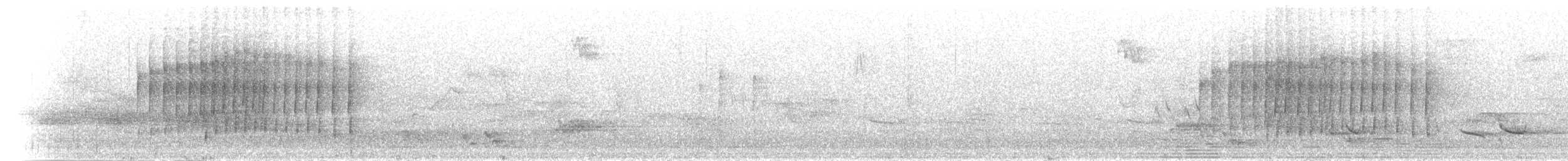 Abyssinian Thrush (Abyssinian) - ML276591