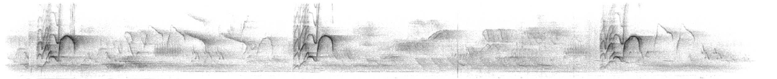 Streaky Seedeater - ML276594