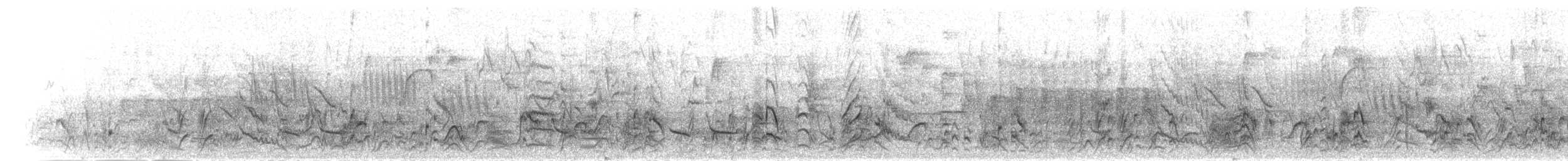 Slender-billed Starling - ML276600