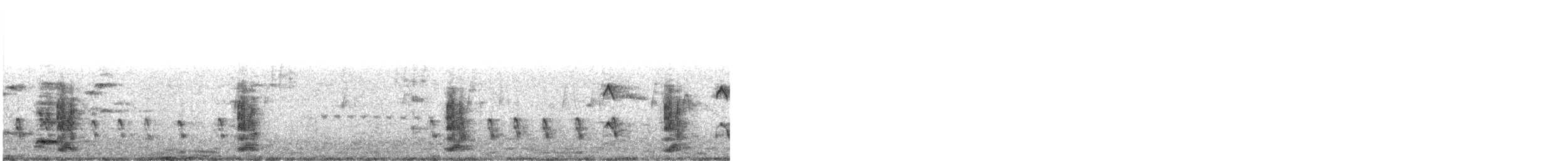 Dusky Moorhen - ML276616081