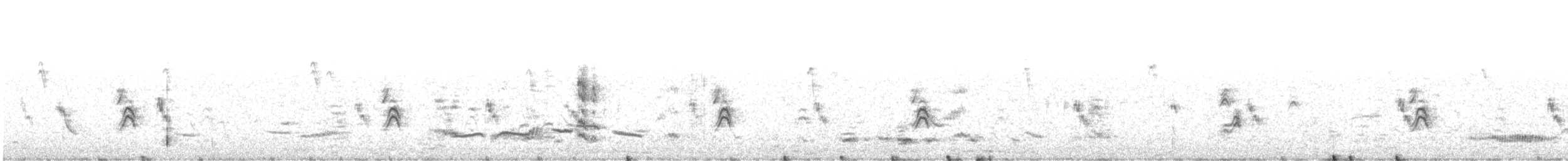 House Sparrow - ML276616701