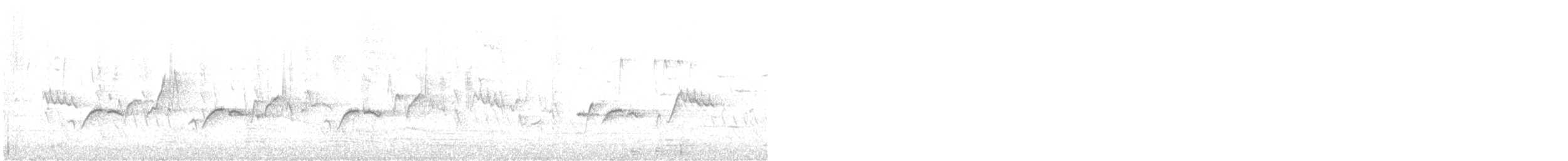 Séricorne à bec court - ML276637081