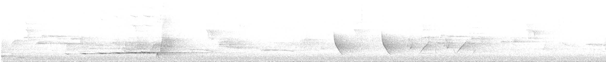 Petroica Amarilla - ML276637151