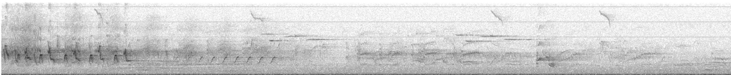 Королаз плямистобокий [група leucophaea] - ML276669621