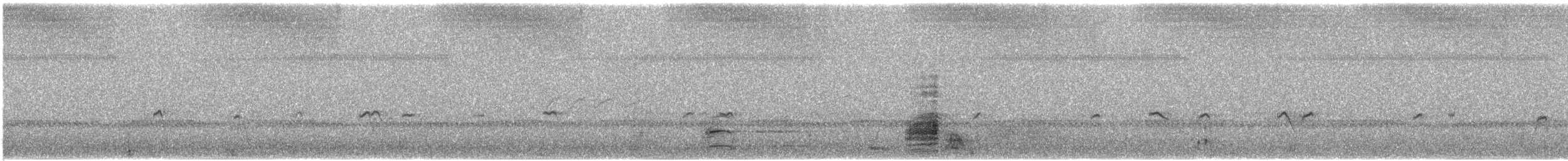 Little Ringed Plover - ML276672001
