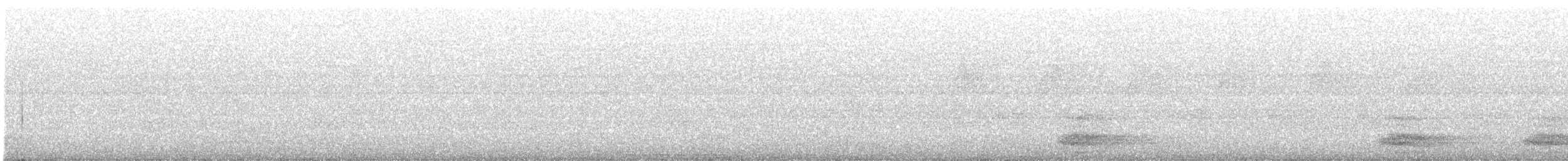 tykknebbkråke (culminatus) (indiakråke) - ML276684851