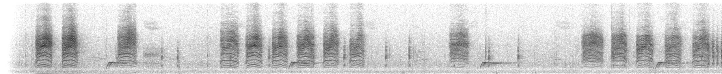 tornsolfugl - ML276686