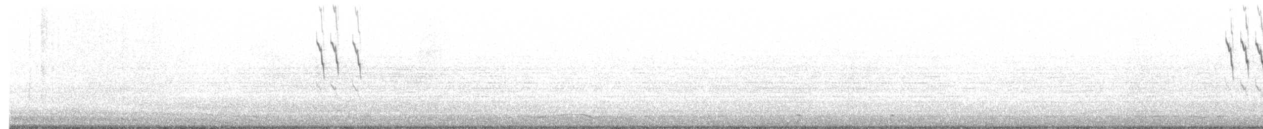 Pipit d'Amérique - ML276753371