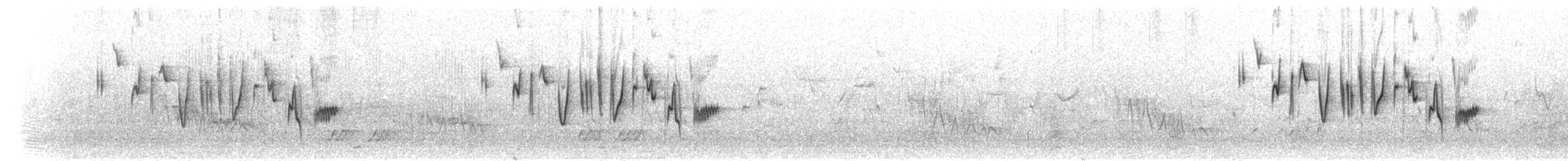 Straw-tailed Whydah - ML276791