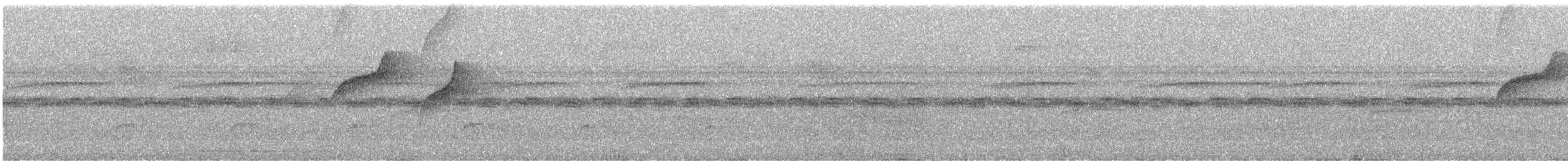 Восточный колибри-отшельник - ML276802671