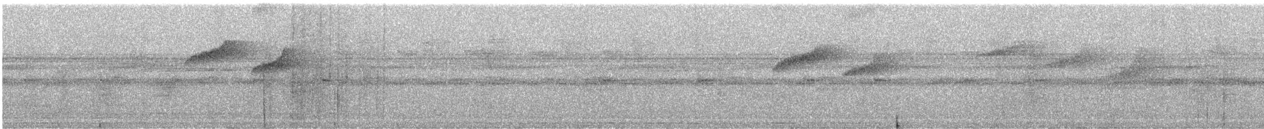 Восточный колибри-отшельник - ML276802801