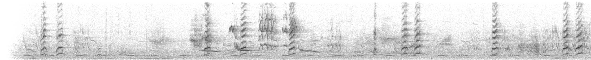 Белобрюхий сорокопут - ML276811