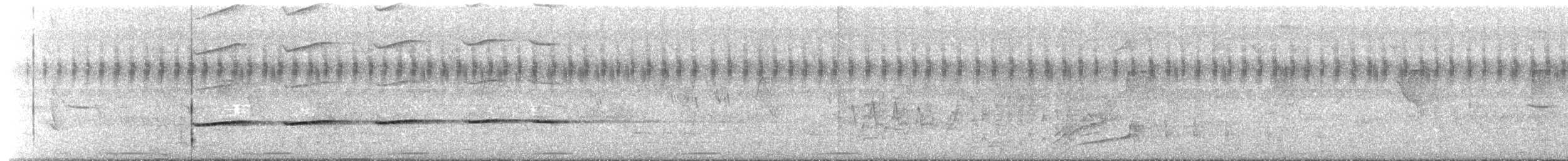 Striped Cuckoo - ML276850161