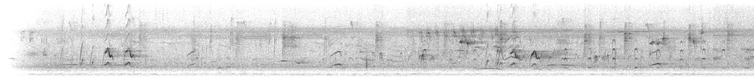 African Pygmy-Goose - ML276874