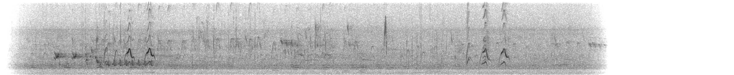 African Pygmy-Goose - ML276876