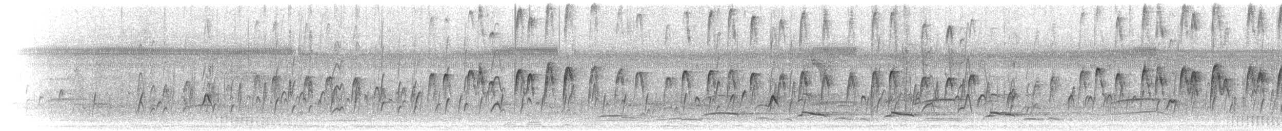 African Pygmy-Goose - ML276877