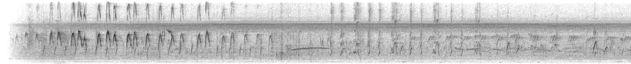 African Pygmy-Goose - ML276878