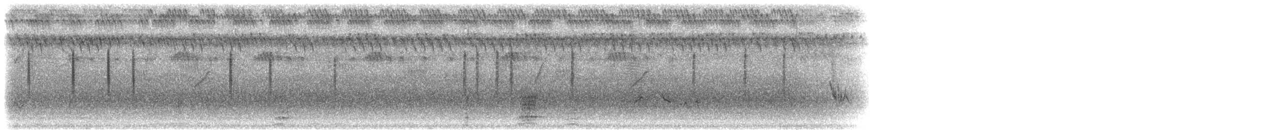 Cisticole russule - ML276961