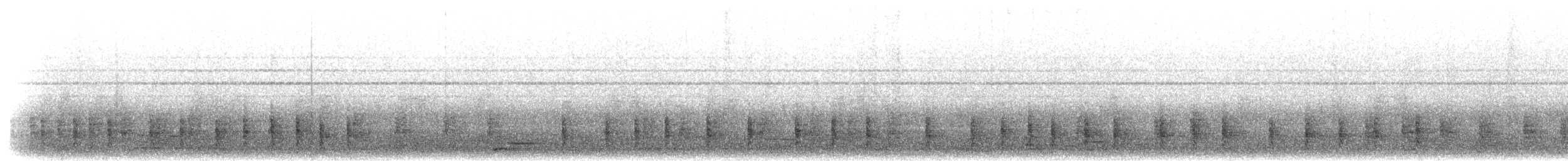 Doppelzahn-Bartvogel - ML276992