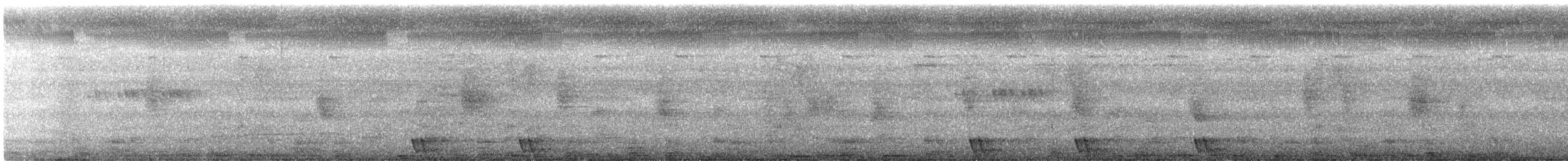 Large-tailed Nightjar - ML277001981