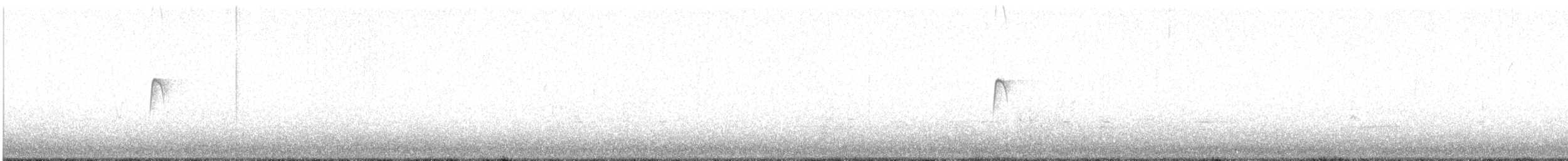 Western Flycatcher (Pacific-slope) - ML277029371