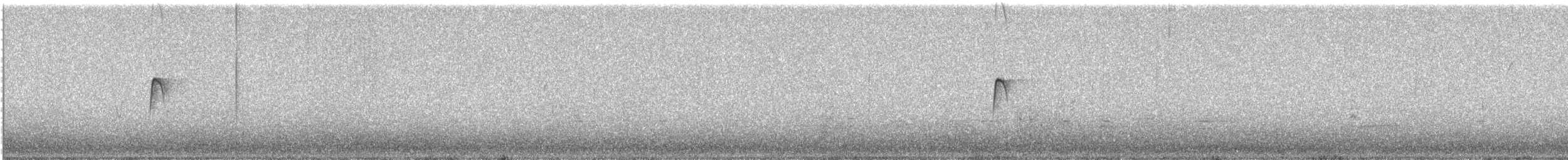 Western Flycatcher (Pacific-slope) - ML277031471