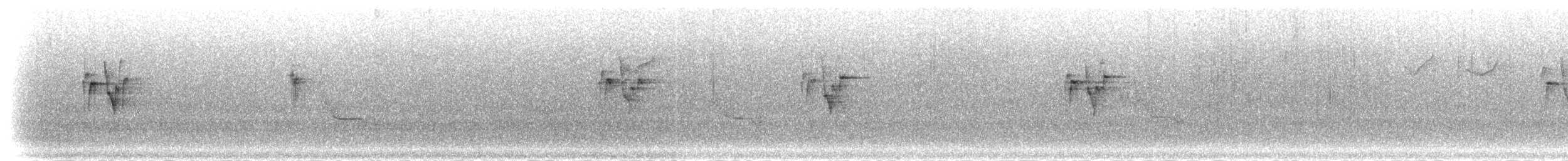 White-tailed Blue Flycatcher - ML277080